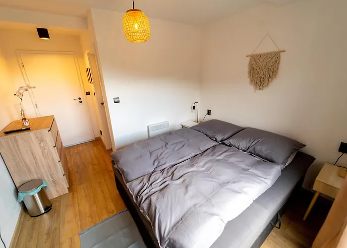 Vo Vlcich Horach Zboj